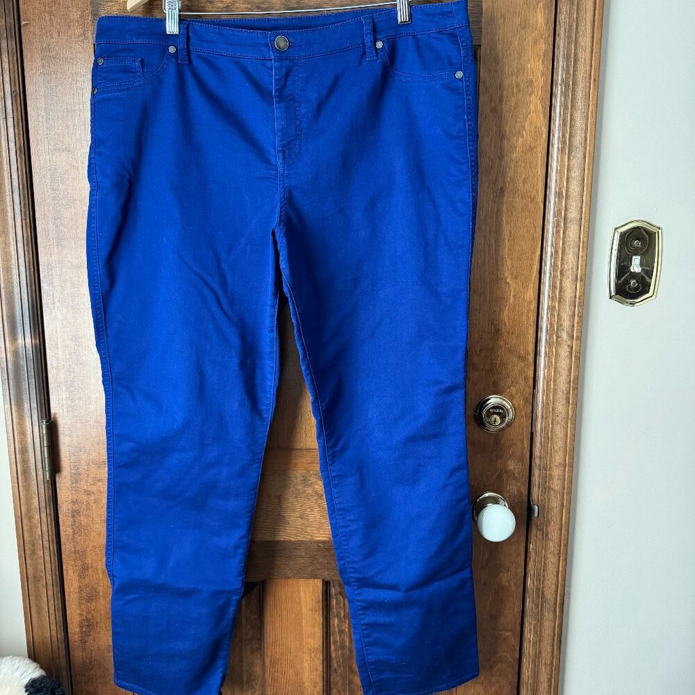 Style & Co Royal Blue 5-Pocket Skinny Pants Size 18